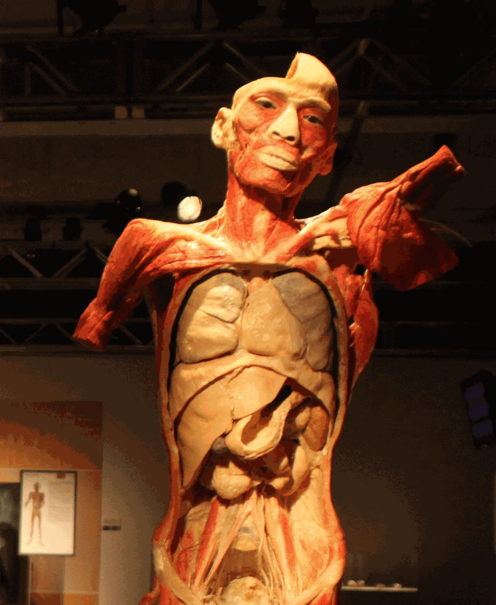 KCON Night at the Museum with Bodies Revealed